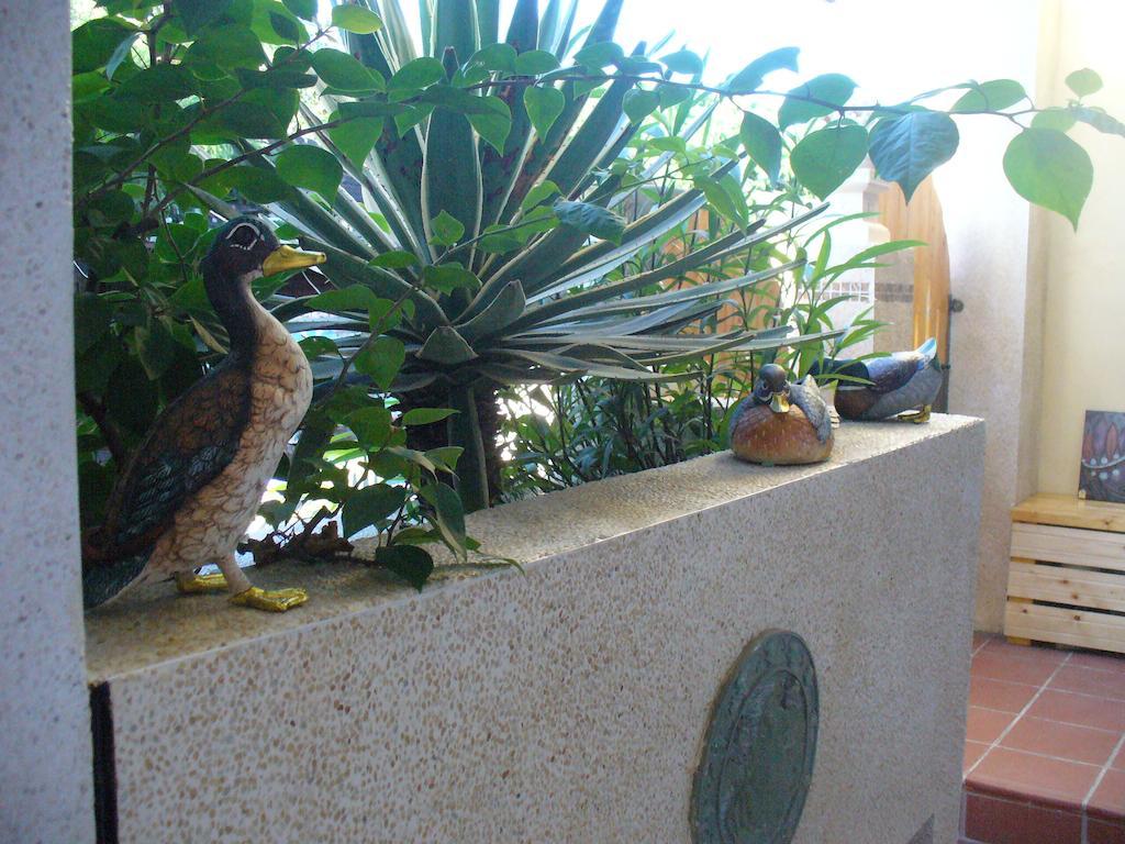 Alongs Garden Bed and Breakfast Heng-ch'un Eksteriør billede